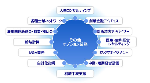 その他オプション業務